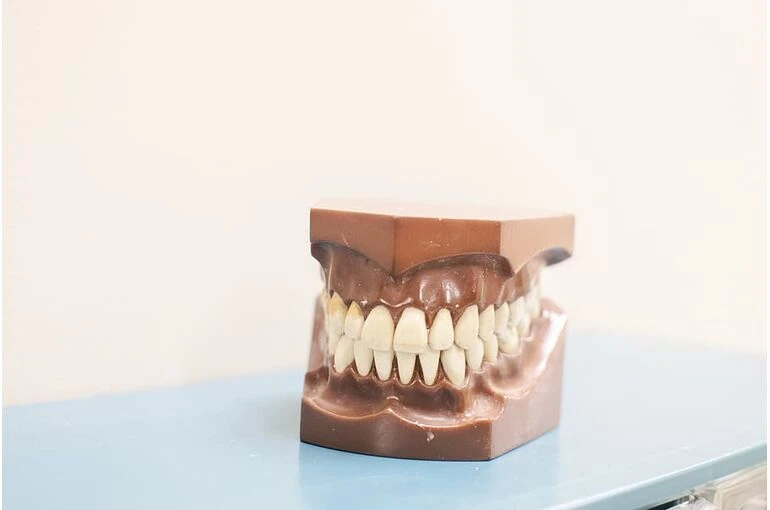 入れ歯の種類とは？